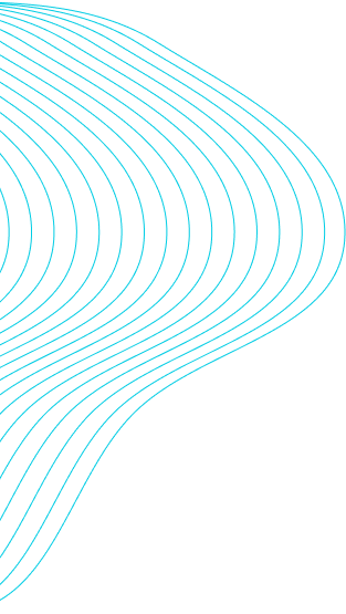company-transparency-shape-1-1 company-transparency-shape-1-1